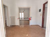 תמונת קאטו פטיסיה, אתונה למכירה (2)