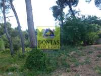 תמונת מגרש, קיפיסיה, אתונה למכירה (4)