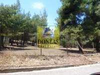 תמונת מגרש, קיפיסיה, אתונה למכירה (2)