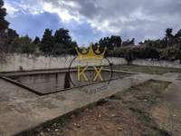 תמונת דיוניסוס, אתונה למכירה