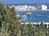 תמונת רודוס למכירה (2)