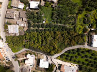 תמונת אפוקורנס, כרתים למכירה (2)