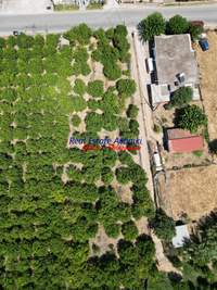 תמונת מגרש, איגאליאה, פלופונס למכירה (4)