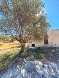 תמונת בית, סרוניקוס למכירה (4)