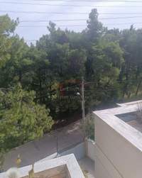 Image 12 of 15