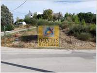 תמונת מגרש, דיוניסוס למכירה (1)