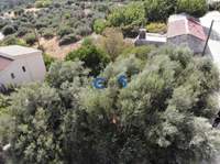 תמונת מגרש, אפוקורנס למכירה (3)