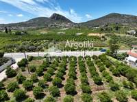 Image 23 of 24