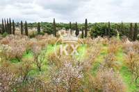 תמונת דירה, מרוסי, אתונה למכירה (3)