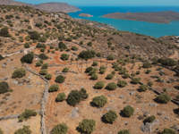 תמונת מגרש, אגיוס ניקולאוס  למכירה (3)