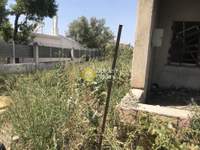 תמונת בית, אכרניס למכירה (2)