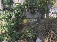 תמונת בית, אכרניס למכירה (3)