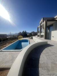 תמונת בית, דיוניסוס, אתונה למכירה (2)