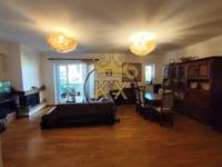 תמונת דירה, דיוניסוס למכירה (2)