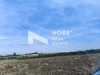 תמונת שטח חקלאי, תרמי למכירה (1)