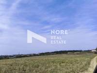 תמונת שטח חקלאי, תרמי למכירה (4)