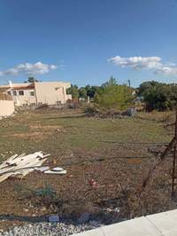 תמונת מגרש, אכרניס למכירה (1)