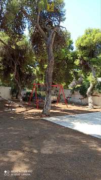 תמונת סרוניקוס, אתונה למכירה (2)