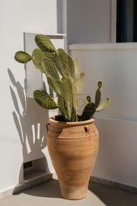 תמונת וילה, סנטוריני, הקיקלאדיים למכירה (3)