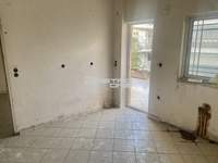 תמונת מטמורפוסי למכירה (4)