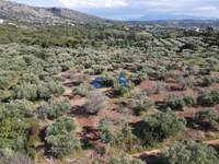 תמונת מגרש, אפוקורנס, כרתים למכירה (2)