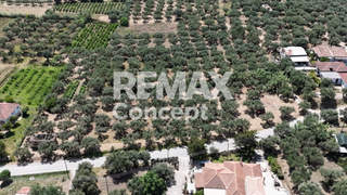 Zakynthos for sale