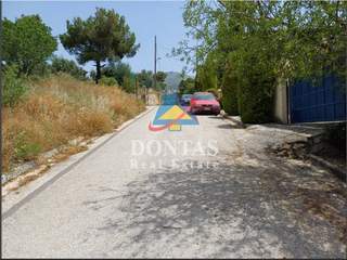 תמונת נאה פאנטלי, אתונה למכירה