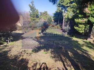 Oropos, Athens for sale