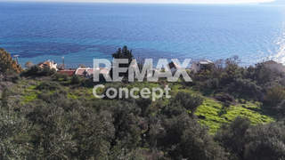 Zakynthos for sale
