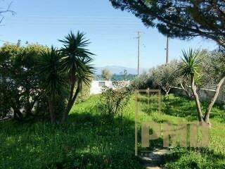 Xylokastro and Evrostina, Peloponnese for sale