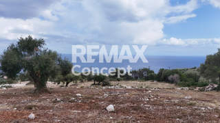 Zakynthos for sale