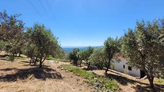 Corfu for sale