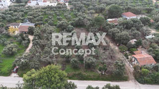 Zakynthos for sale