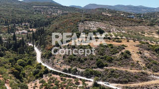Zakynthos for sale