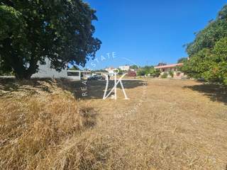 Rhodes for sale