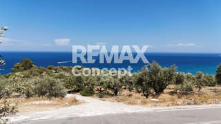 Zakynthos for sale