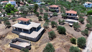 תמונת ארמיונידה, פלופונס למכירה