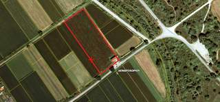 Trikala for sale