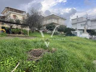 תמונת מסיני, פלופונס למכירה