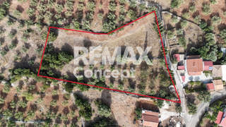 Zakynthos for sale