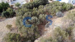 תמונת אפוקורנס, כרתים למכירה