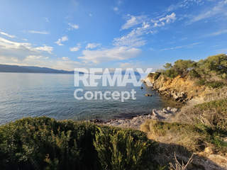 Zakynthos for sale