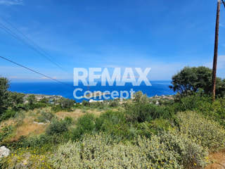 Zakynthos for sale
