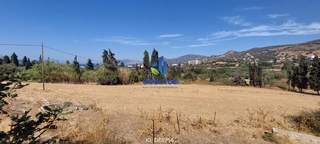 תמונת קאריסטוס, אוויה למכירה