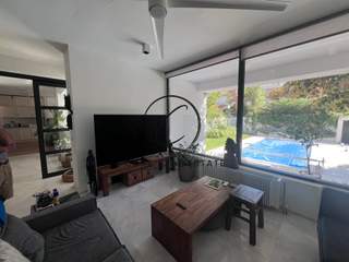 תמונת קיפיסיה, אתונה למכירה