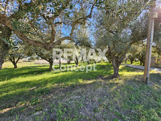 Zakynthos for sale