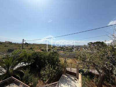 תמונת בית, סרוניקוס למכירה (1)