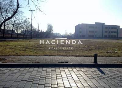 תמונת מגרש, קורדליו - אבוסמוס למכירה (1)