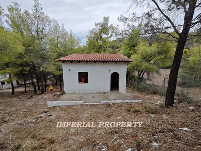 תמונת קורינתיה, פלופונס למכירה (1)