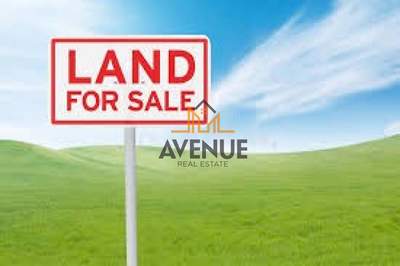 תמונת שטח חקלאי, קסנדרה למכירה (0)